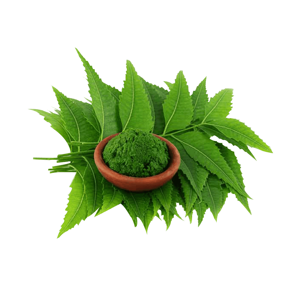 Neem